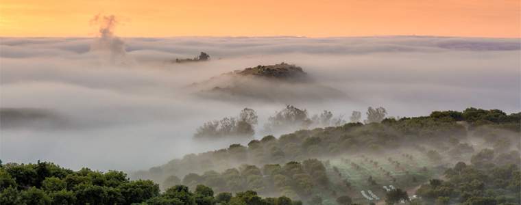 rolling fog irvine california