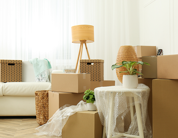 Cardboard boxes, potted plants and household stuff indoors. Moving day