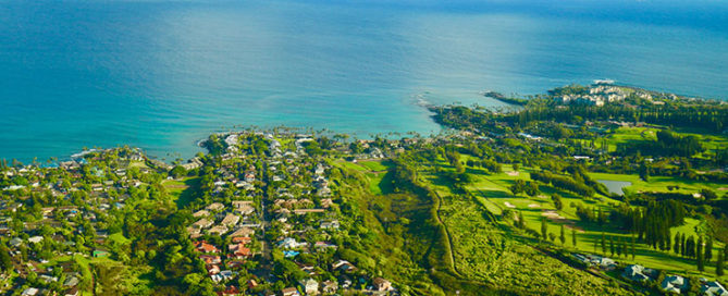 maui moving company