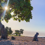 061523 Hawaii retirement – Kailua-Kona