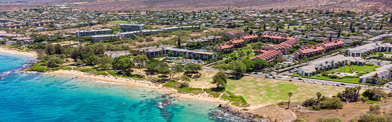 Best Moving Company to Hawaii