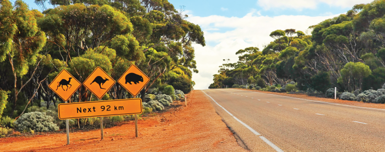 Animals crossing sign in australia