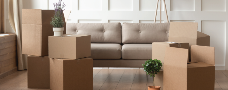 moving boxes